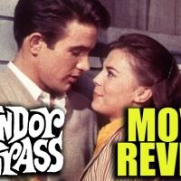 CLASSIC MOVIE REVIEW: SPLENDOR IN THE GRASS (1961)